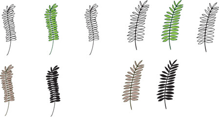 シダ植物のイラスト素材 - 線画・カラー・枯・シンプルなボタニカルデザイン © foolchico