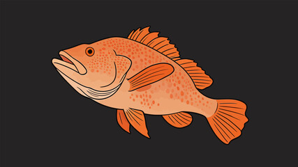 Fototapeta premium Flat vector illustration of a red grouper fish on dark background