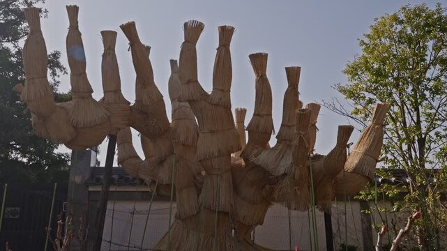 A detailed shot of "Komokaburi," a traditional Japanese technique of wrapping pine trees in straw mats and ropes to protect them from frost and pests during winter. This image highlights the intricate