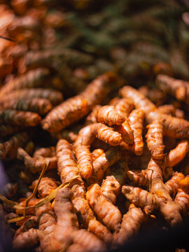 Raw Organic Turmeric Root Harvest with Warm Cinematic Lighting
