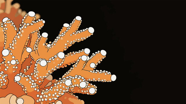 Illustrated Orange Stony Coral Marine Organism Closeup