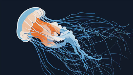 Beautiful Illustration of a Graceful Swimming Jellyfish © hakule