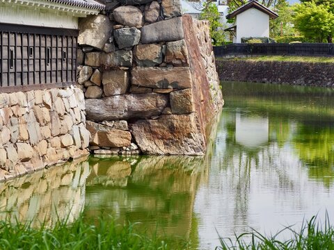 松本城の石垣と堀に映る新緑の風景
