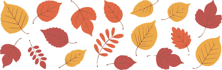 leaf autumn leaves vector collection fall foliage isolated on white bg © AIcon Star