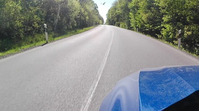 Spring road ride on local, forest surrounded road of Krupina basin, central Slovakia, that leads to historical town of Krupina. 