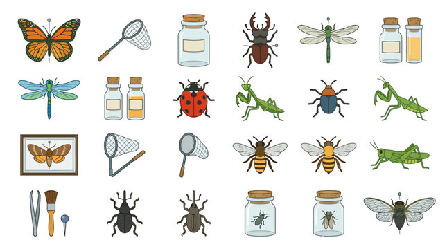 Insects and bug catching tools.