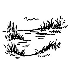 Fototapeta premium pond vector illustration 