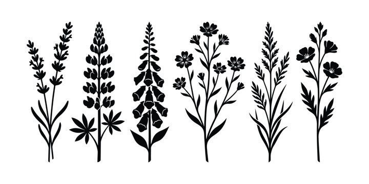 Collection of black flower silhouettes including lavender, lupine, and foxglove vector illustration
