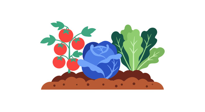 Fresh garden vegetables, tomatoes, cabbage, lettuce, healthy food, cartoon style