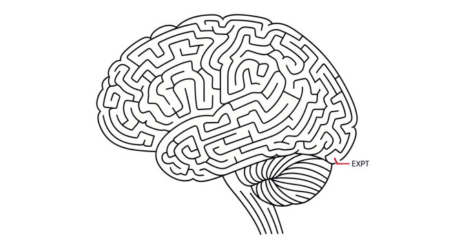 Brain Maze - Cognitive Puzzle and Mental Challenge