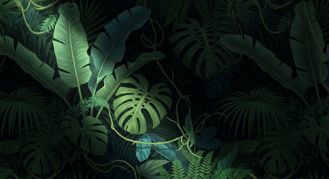 Moody Dark Tropical Jungle Foliage Background with Monstera and Banana Leaves in Spotlight