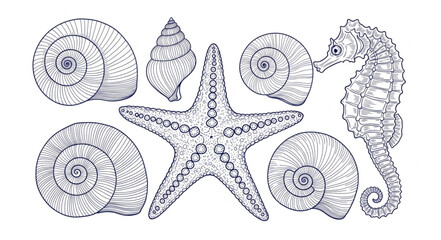 Collection of Detailed Marine Life Illustrations. © Malik