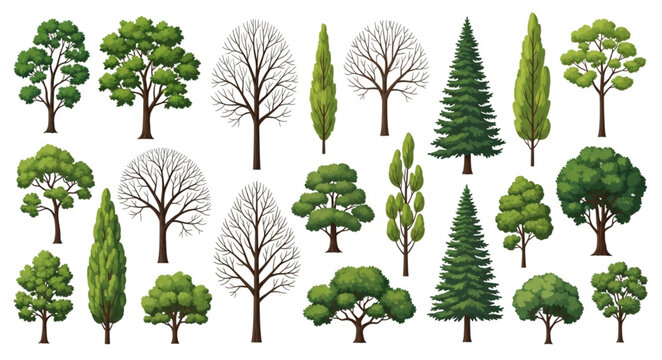 Collection of diverse trees in various shapes and sizes.