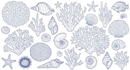 Collection of hand drawn marine life and seashells isolated on white background. © Melinda