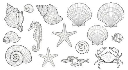 Collection of Hand Drawn Marine Life and Shells Illustration. © Melinda