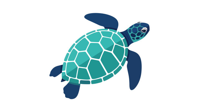 turtle on a white background