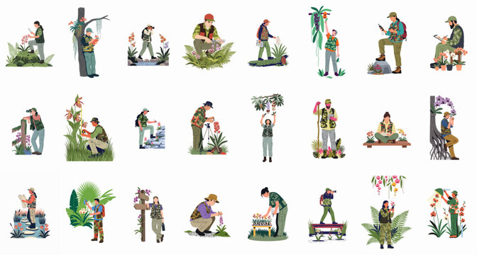 A collection of botanists and researchers observing, documenting, and cultivating various orchid species in natural and greenhouse environments, shown in vector style.