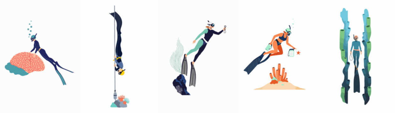 Collection of flat vector illustrations depicting various people freediving and scuba diving underwater while exploring coral reefs and marine life.