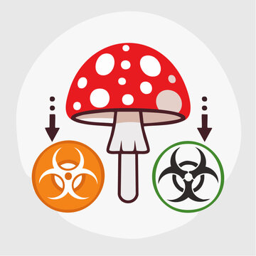 Amanita Mushroom with Biohazard Symbols