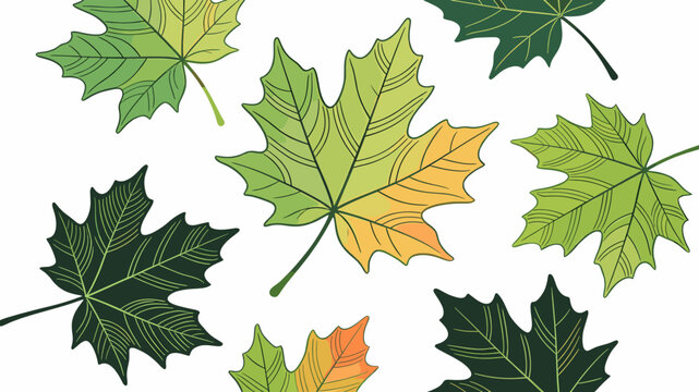 A collection of stylized maple leaves in various shades of green, yellow, and orange, set against a white background.