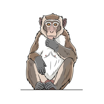Thoughtful monkey sitting and contemplating with a hand on its chin, isolated.