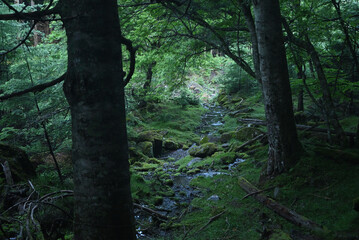 Obraz premium Climbing Mt. Akadake, Yatsugatake, Nagano, Yamanashi, Japan
