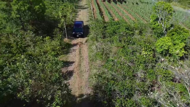 Sinotruk Bolden pickup tough utility truck off road capability 4K , drone