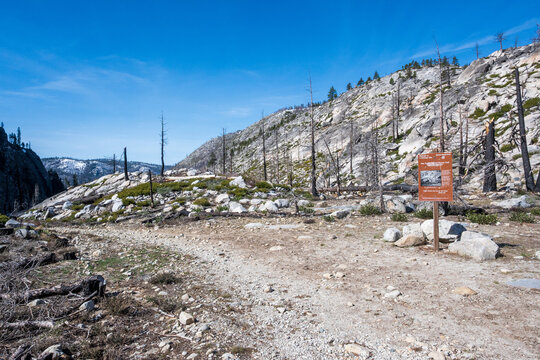 Pony Express trail  leading to a scenic overlook in a burned area of forest during a sunny day in the mountains