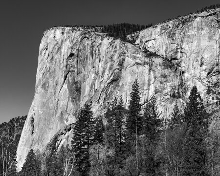 View of   El Capitan in black and white