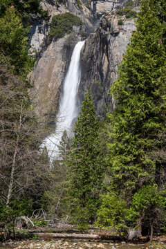 Waterfall flows down Lower Yosemite Falls