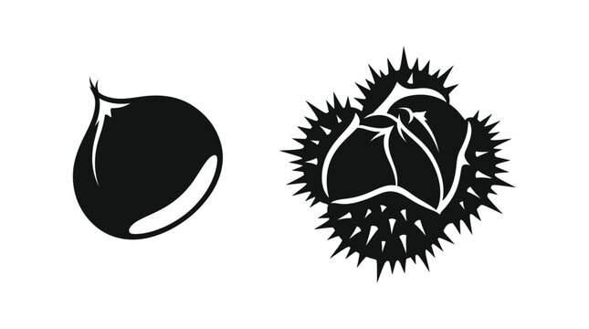 Chestnut silhouette illustration with open and closed shells on white background