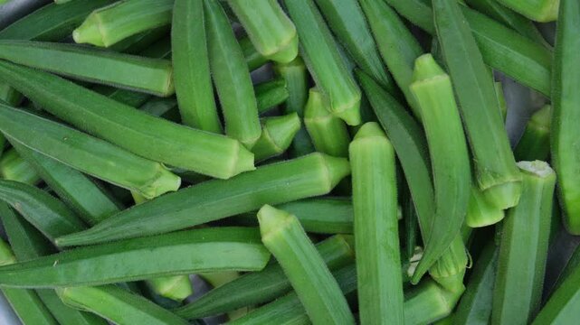 Top view of fresh green raw okra or ladyfinger vegetables