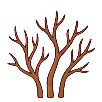 Nature Element