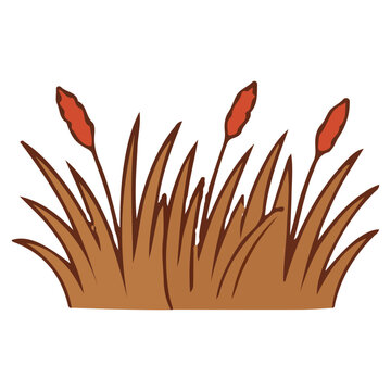 Nature Element