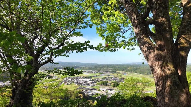 日輪寺つつじ公園から見える町並み
