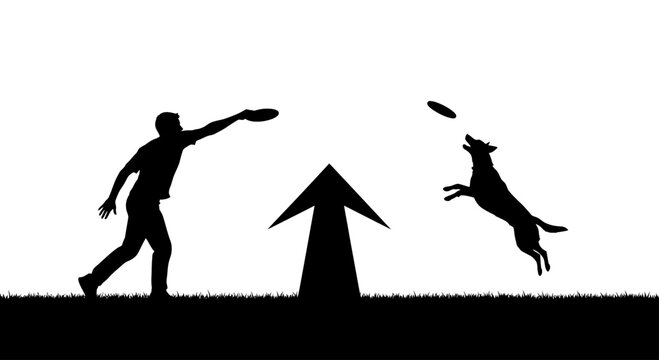 A person throws a frisbee to a dog jumping in the air