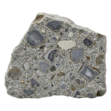 Fossilized sedimentary rock specimen with clasts on a transparent background