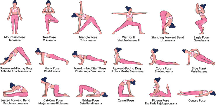 Comprehensive Yoga Pose Infographic Featuring Diverse Asanas with Sanskrit Names Including Mountain Tree Warrior and Downward Facing Dog for Wellness and Fitness Designs