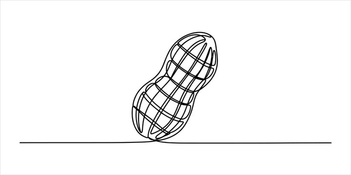 Continuous single line drawing of a peanut snack food with a shell texture in a minimalist artistic style for modern kitchen and healthy diet art Vector, illustration