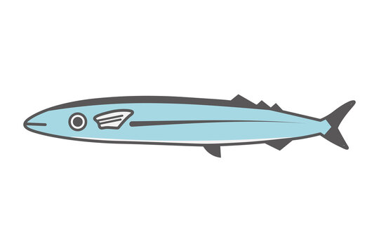 秋刀魚の1匹イラスト 秋の味覚 鮮魚の背景透過PNG