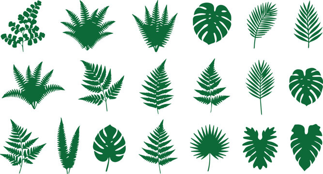 set of green leaves