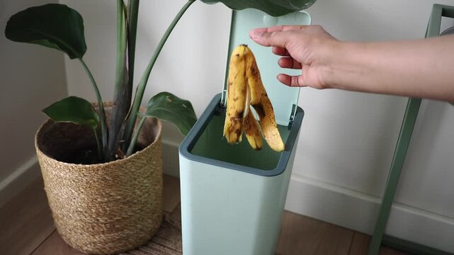 Throwing banana peels in a trash bin near a plant
