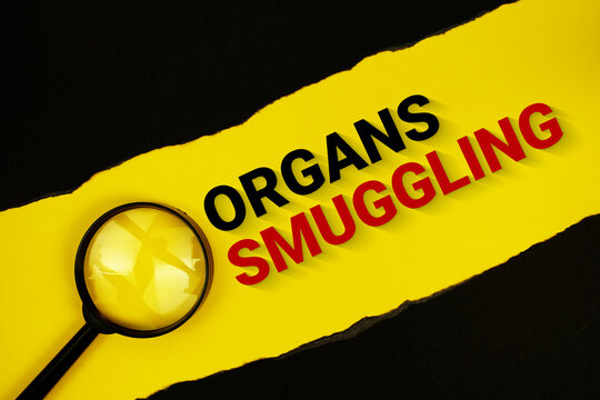 Organs Smuggling text on yellow with black paper torn ripped and magnifying glass