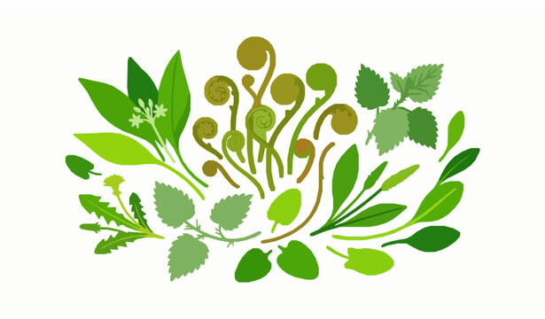A modern cartoon style vector set featuring wild vegetables and curled bracken shoots displayed in a balanced arrangement on a solid white background. Bright green foliage, soft organic curves, and si