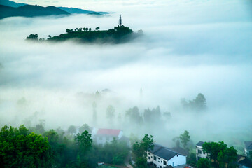 Fototapeta premium landscape with fog