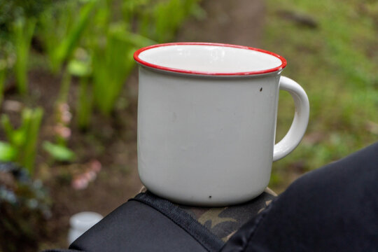 White Enamel Mug With Red Rim Lying On Weathered Tree Stump In Rustic Outdoor Setting