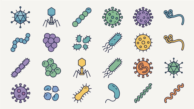 Colorful Virus and Bacteria Outline Icon Set - Pastel Collection of Icosahedral Bacteriophage Streptococcus Staphylococcus Coronavirus Flagellated Bacillus Spirochete Ebola and Various Microorganism