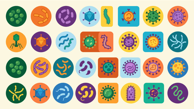 Colorful Virus and Bacteria Flat Icon Set in Circle and Square Badges, Bold Collection of Cocci Bacillus Bacteriophage Icosahedral Coronavirus Spirochete Enveloped and Various Microorganism 