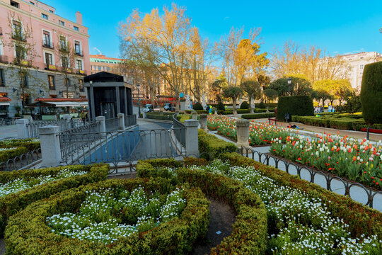 Colorful Tulip Garden in Plaza de Oriente Madrid Spain