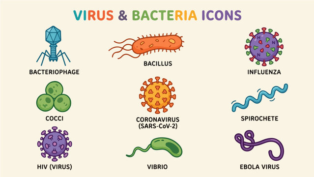 Virus and Bacteria Icons Educational Poster, Colorful Cartoon Collection of Bacteriophage Bacillus Influenza Cocci Coronavirus SARS-CoV-2 Spirochete HIV Vibrio and Ebola Virus Microbiology Science Il